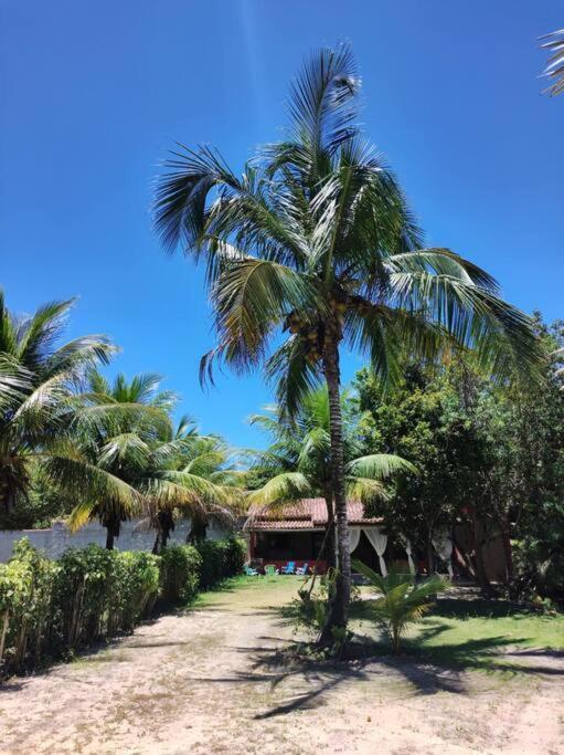 Casa Cumuruxatiba, Natureza E Charme Buitenkant foto