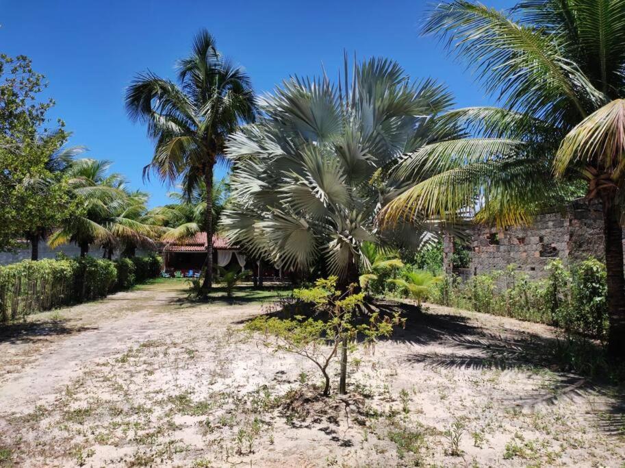 Casa Cumuruxatiba, Natureza E Charme Buitenkant foto